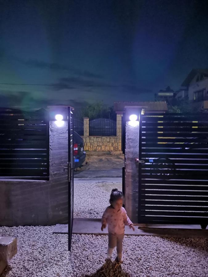 Casutele Amaliei Hotel Corbu  Bagian luar foto